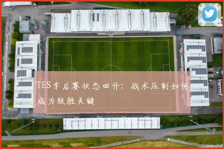 TES季后赛状态回升：战术压制如何成为致胜关键