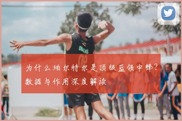 为什么珀尔特尔是顶级蓝领中锋?数据与作用深度解读