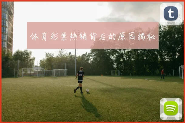 体育彩票热销背后的原因揭秘