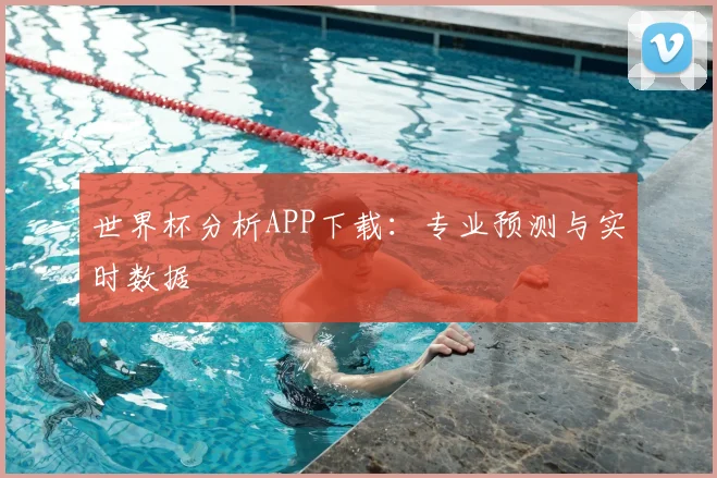 世界杯分析APP下载:专业预测与实时数据
