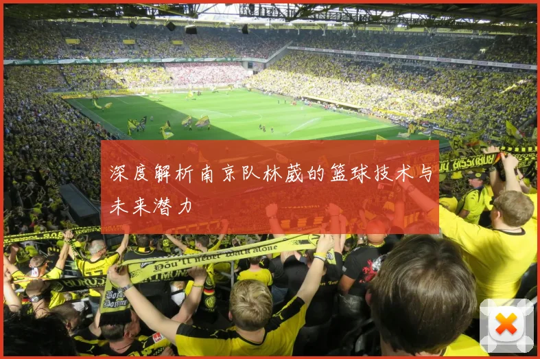 深度解析南京队林葳的篮球技术与未来潜力